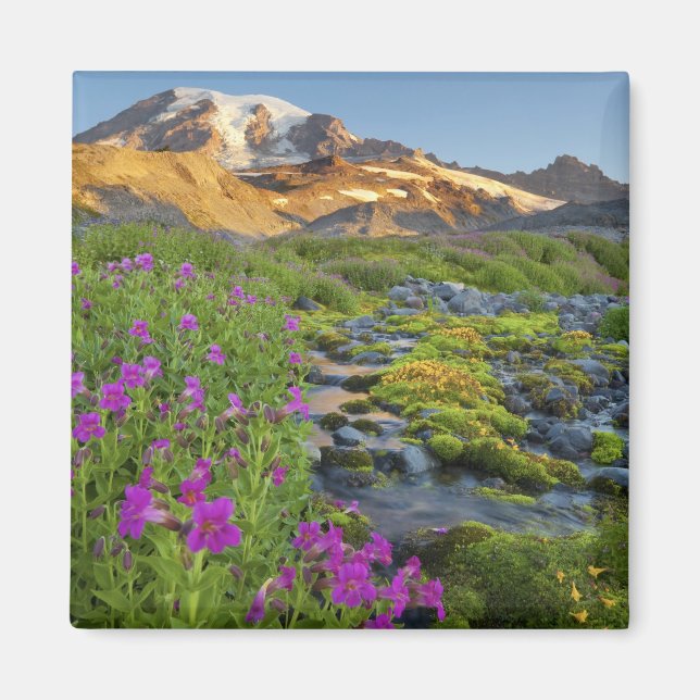 USA, Mt. Rainier National Park, Washington. Magnet (Front)