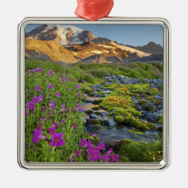 USA, Mt. Rainier National Park, Washington. Metal Ornament (Front)