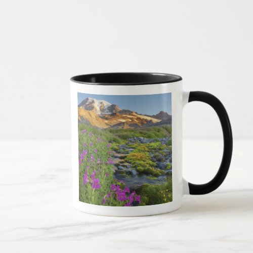 USA Mt Rainier National Park Washington Mug