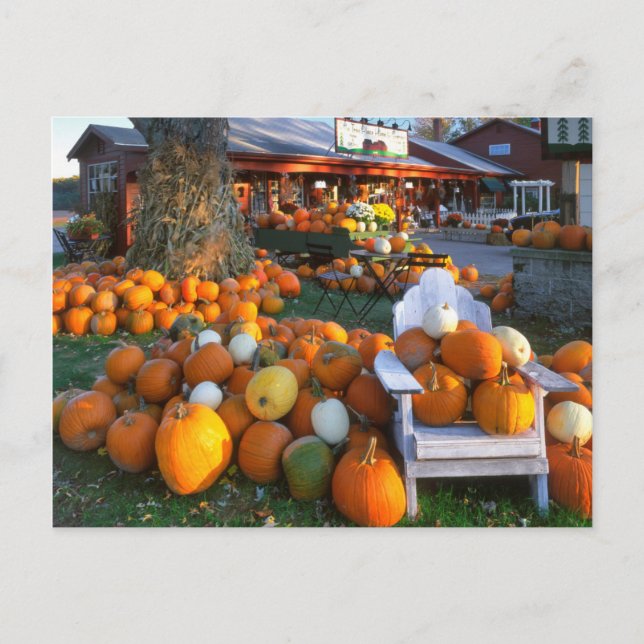 USA, New England, Maine, Wells. Autumn Display Postcard (Front)