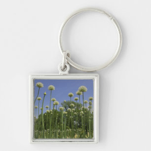 USA, New England, Massachusetts, Boston, 3 Keychain