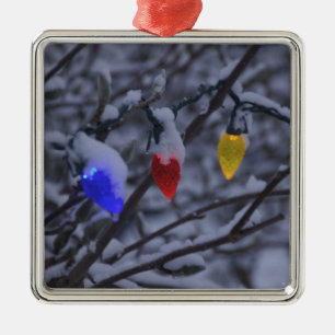 USA, New England, Massachusetts, Reading, 2 Metal Ornament