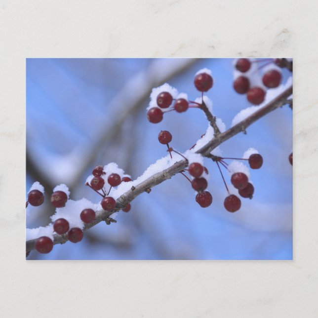 USA, New England, Massachusetts, Reading, 3 Postcard (Front)