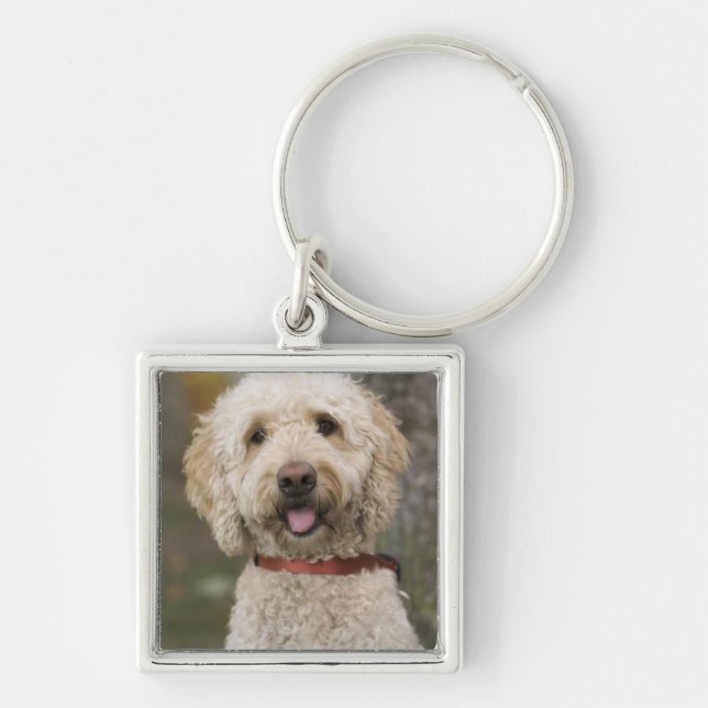 USA, New England, Massachusetts, Reading, Keychain (Front)
