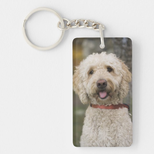 USA, New England, Massachusetts, Reading, Keychain (Front)