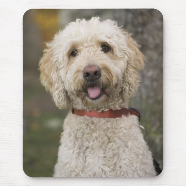 USA, New England, Massachusetts, Reading, Mouse Pad (Front)