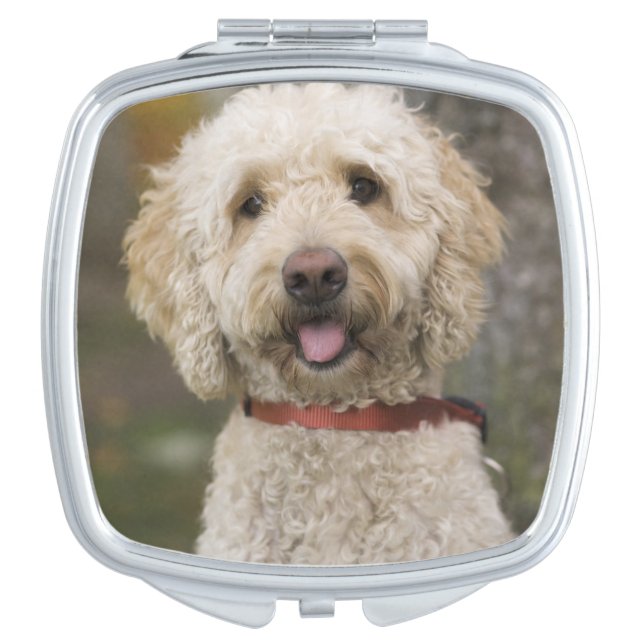 USA, New England, Massachusetts, Reading, Vanity Mirror (Front)