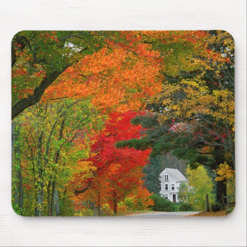 USA New England New Hampshire Andover Mouse Pad