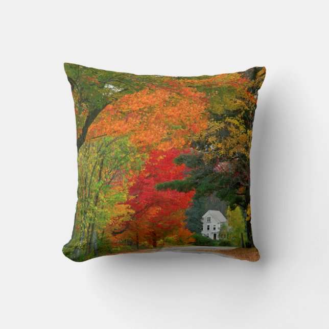 USA, New England, New Hampshire, Andover Throw Pillow (Front)