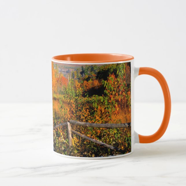 USA, New England, New Hampshire, Chocorua Mug (Right)