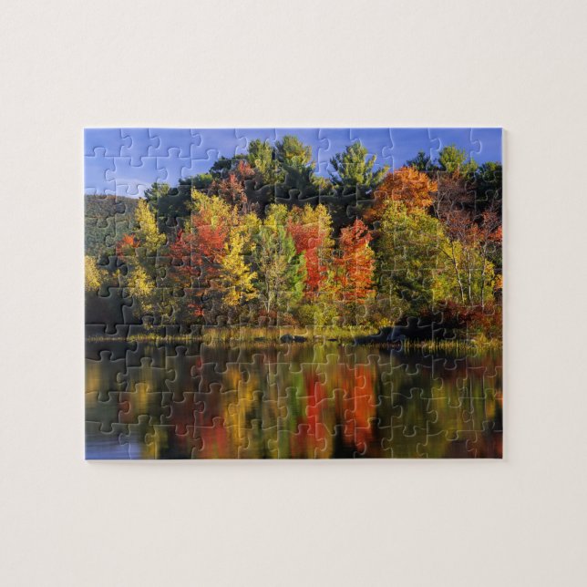 USA, New Hampshire, Moultonborough. Trees in Jigsaw Puzzle (Horizontal)