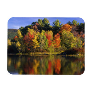 USA, New Hampshire, Moultonborough. Trees in Magnet