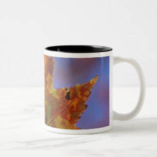 USA, New Hampshire, White Mountains, Franconia Two-Tone Coffee Mug