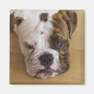 USA, New Jersey, Jersey City, Portrait of bored Magnet