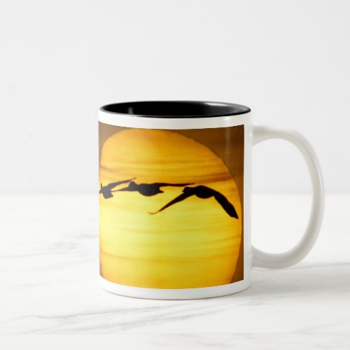USA New Mexico Bosque del Apache National 2 Two_Tone Coffee Mug