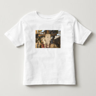 USA, New Mexico, Mesilla: Historic Mesilla Plaza Toddler T-shirt