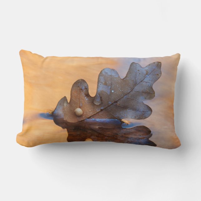 USA, New Mexico. Oak leaf in stream Lumbar Pillow (Front)