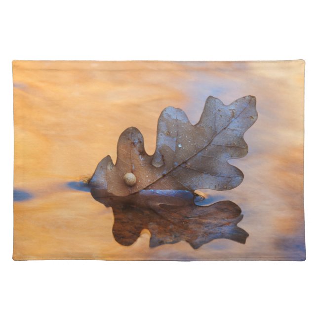 USA, New Mexico. Oak leaf in stream Placemat (Front)
