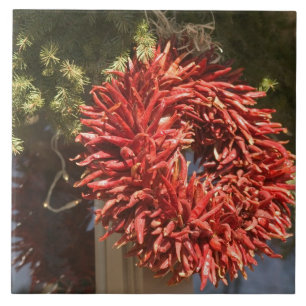 USA, New Mexico, Santa Fe: Downtown Santa Fe, 2 Tile