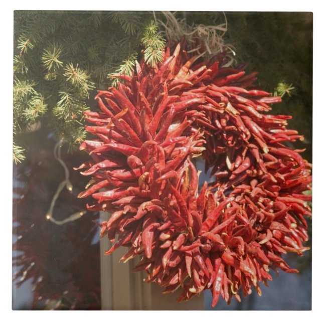 USA, New Mexico, Santa Fe: Downtown Santa Fe, 2 Tile (Front)