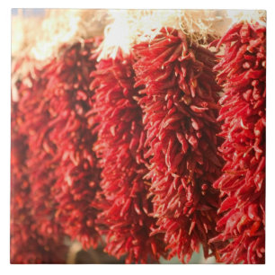 USA, New Mexico, Santa Fe: Downtown Santa Fe, 3 Tile