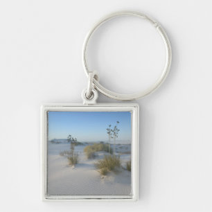 USA, New Mexico, White Sands National 2 Keychain