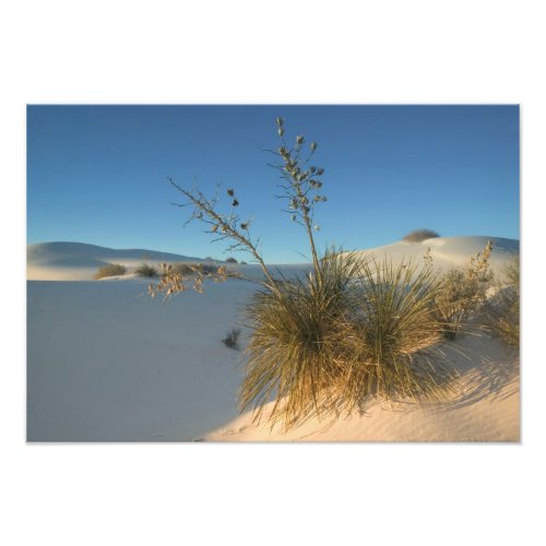 USA New Mexico White Sands National 3 Photo Print