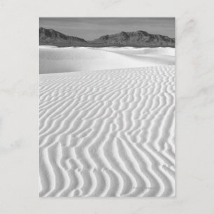 USA, New Mexico, White Sands Postcard