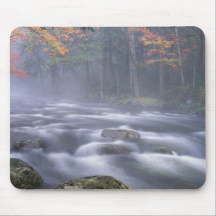 USA, New York, Adirondacks, Big Moose River Mouse Pad