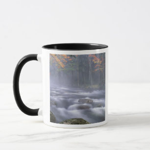 USA, New York, Adirondacks, Big Moose River Mug