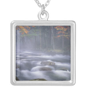 USA, New York, Adirondacks, Big Moose River Silver Plated Necklace