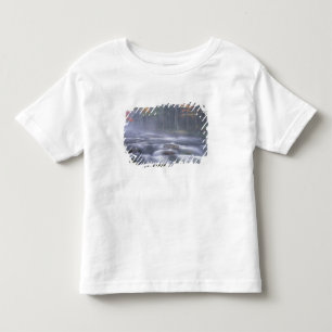 USA, New York, Adirondacks, Big Moose River Toddler T-shirt