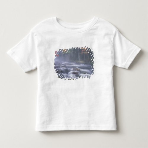 USA New York Adirondacks Big Moose River Toddler T_shirt