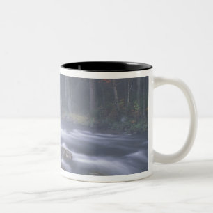USA, New York, Adirondacks, Big Moose River Two-Tone Coffee Mug
