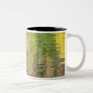 USA, New York, Adirondacks, Reflections in water Two-Tone Coffee Mug