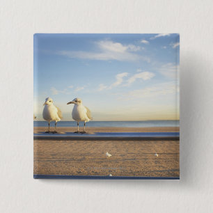USA, New York City, Coney Island, three seagulls Button