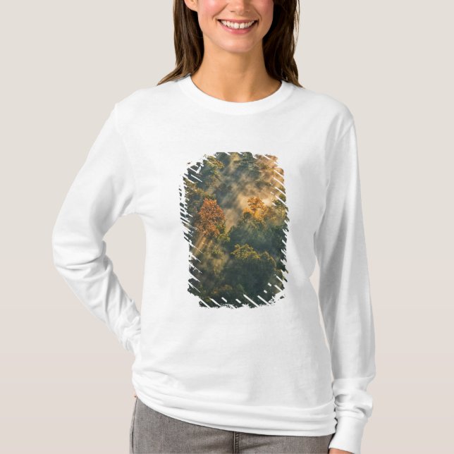 USA, New York, Letchworth State Park. Sunrise T-Shirt (Front)