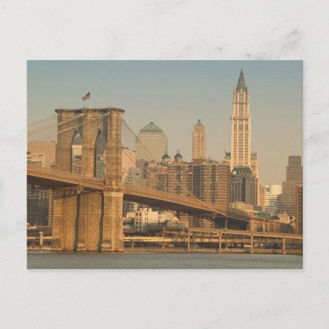 USA, New York, New York City, Manhattan: 9 Postcard (Front)