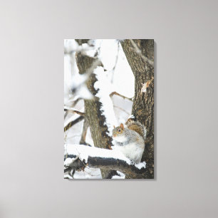 USA, New York, New York City, squirrel sitting Canvas Print