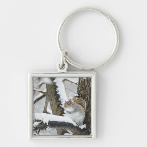 USA New York New York City squirrel sitting Keychain