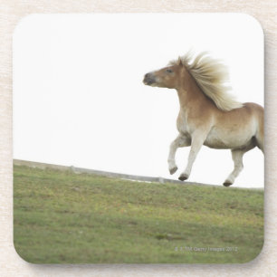 USA, New York State, Hudson, Horse running in 2 Beverage Coaster