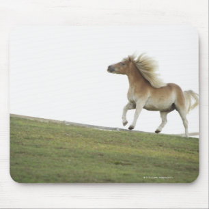 USA, New York State, Hudson, Horse running in 2 Mouse Pad