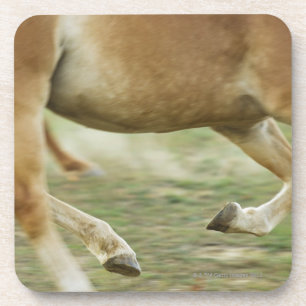 USA, New York State, Hudson, Horse running in Beverage Coaster