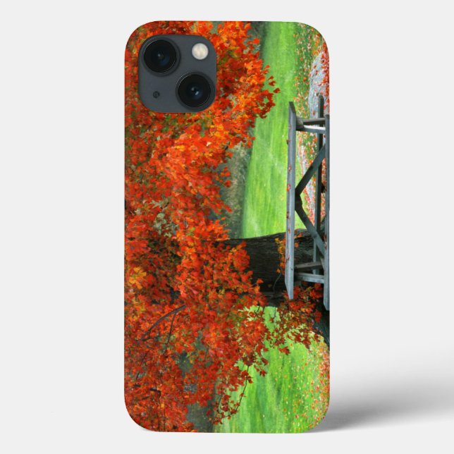 USA, New York, West Park. Bench Under Maple Case-Mate iPhone Case (Back)