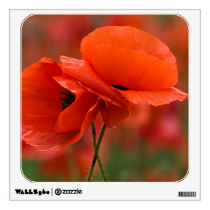 USA, North Carolina. Close-up of poppy Wall Sticker
