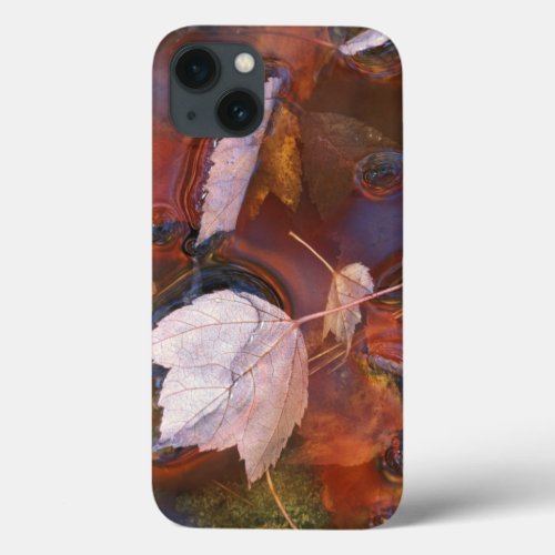 USA Northeast Fall leaves in puddle with iPhone 13 Case