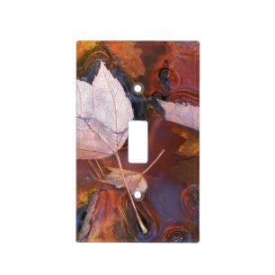 USA, Northeast, Fall leaves in puddle with Light Switch Cover