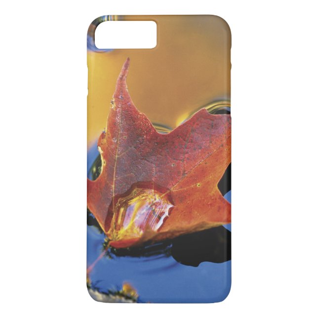 USA, Northeast, Maple Leaf in Reflection Case-Mate iPhone Case (Back)