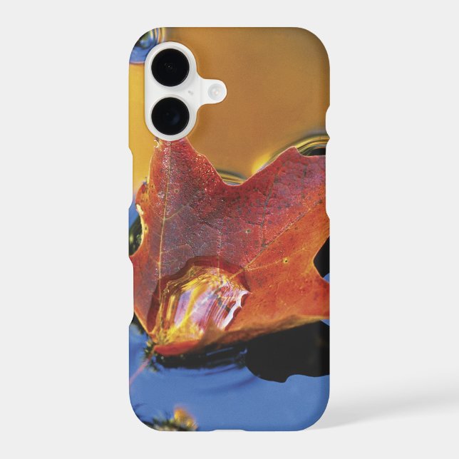 USA, Northeast, Maple Leaf in Reflection Iphone Case (Back)