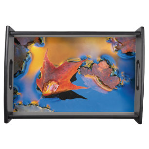 USA, Northeast, Maple Leaf in Reflection Serving Tray